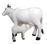 FRP Cow And Calf