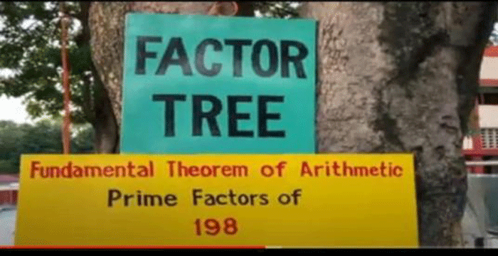 Factor Tree